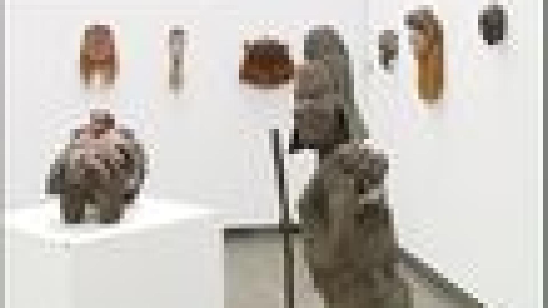 Exposition d'art africain.